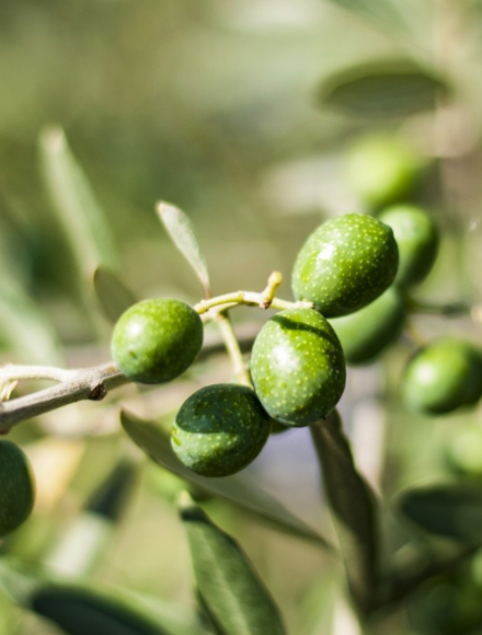 KS��ʱ��(�й���)�ٷ���վ