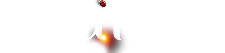 KS��ʱ��(�й���)�ٷ���վ