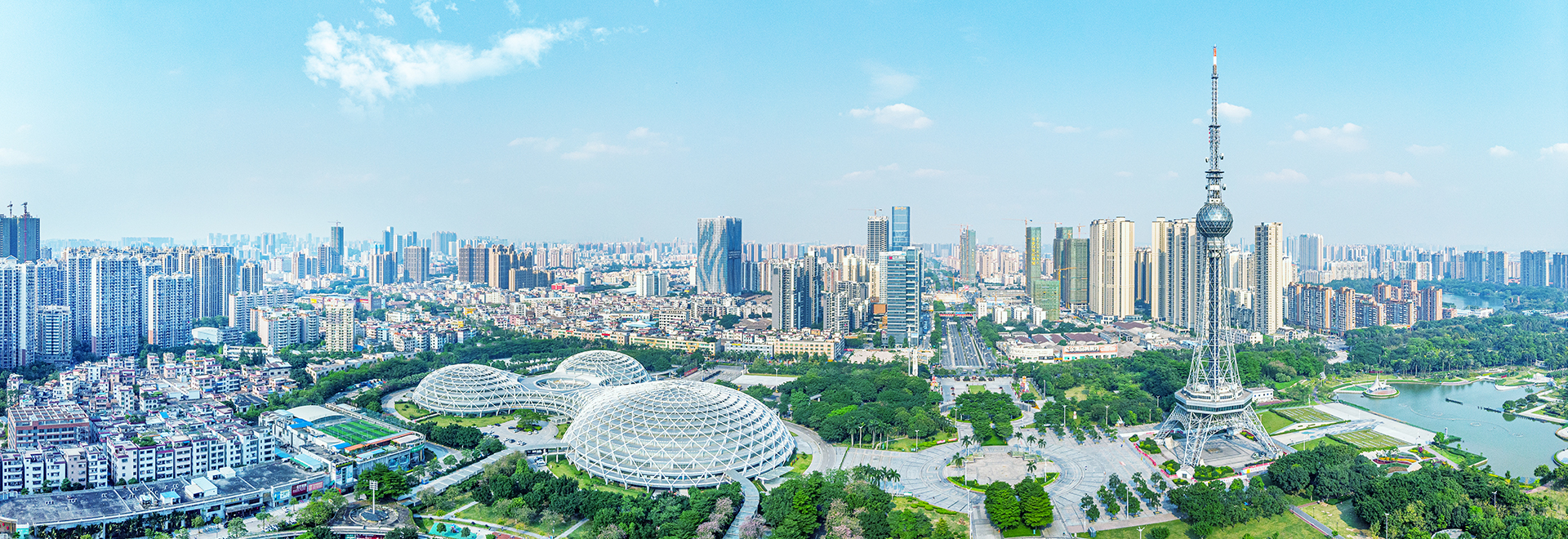 ������ʿ