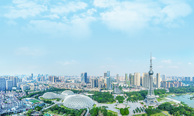 ������ʿ