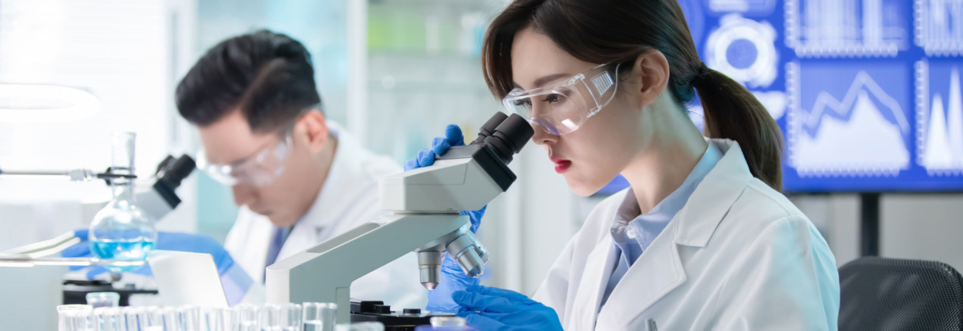 ������ʿ